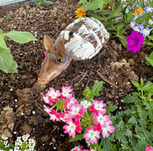 Load image into Gallery viewer, Mini Metal Armadillo
